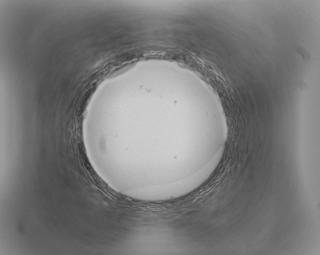 X0000115411445200912151531