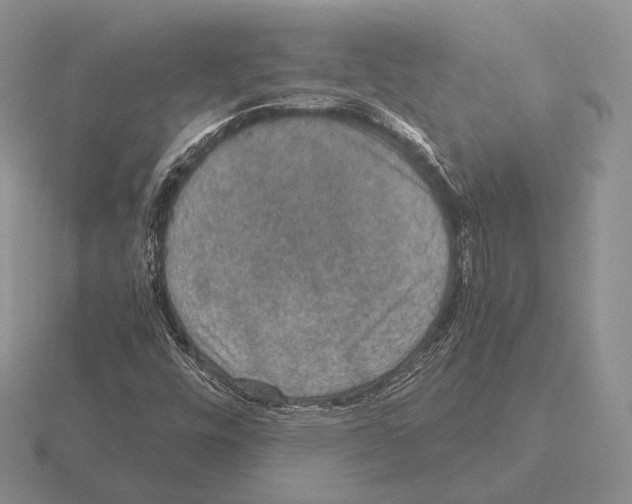 X0000115411448200912151531