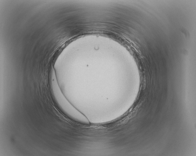 X0000115411449200912151531