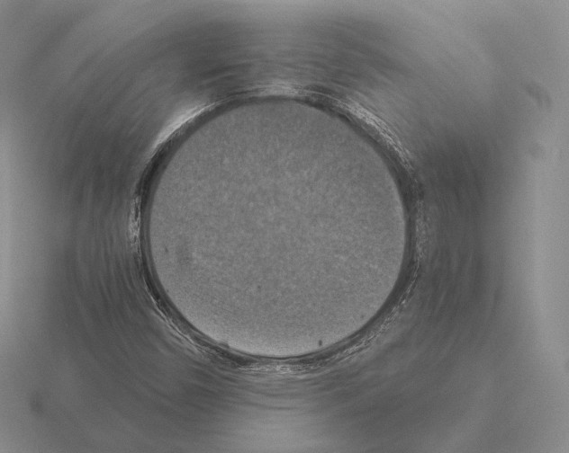 X0000115411450200912151531