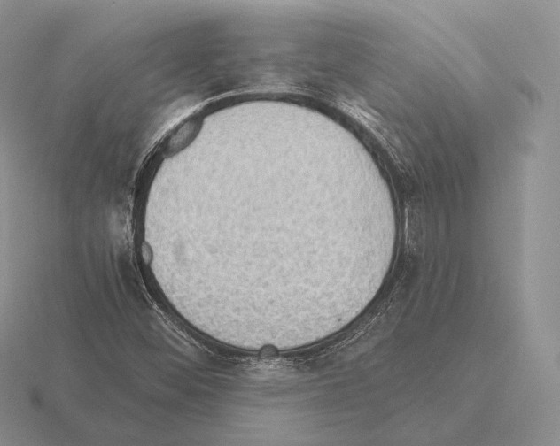 X0000115411452200912151531