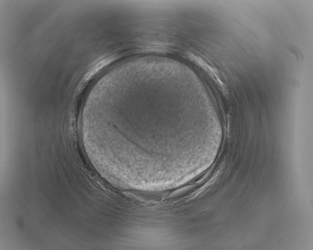 X0000115411453200912151531