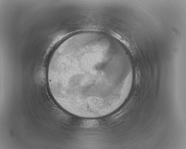 X0000115411454200912151531