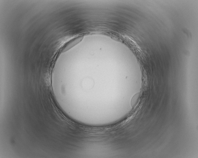 X0000115411457200912151531