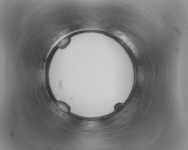 X0000115411460200912151531