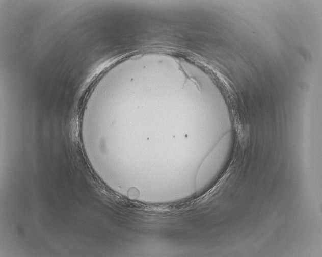 X0000115411461200912151531