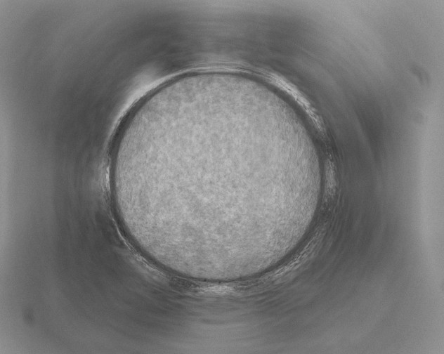 X0000115411462200912151531