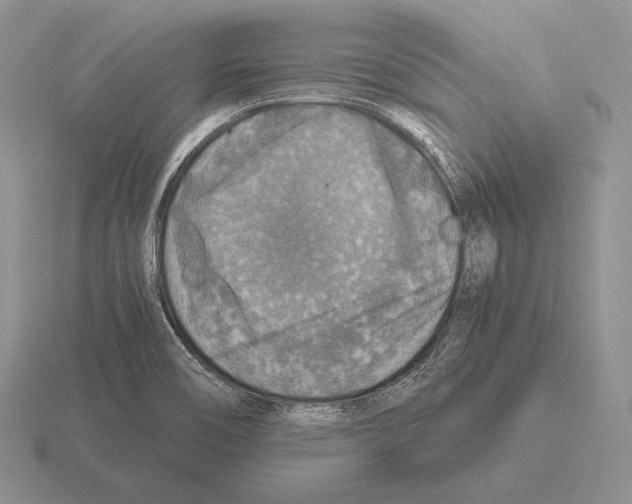 X0000115411466200912151531