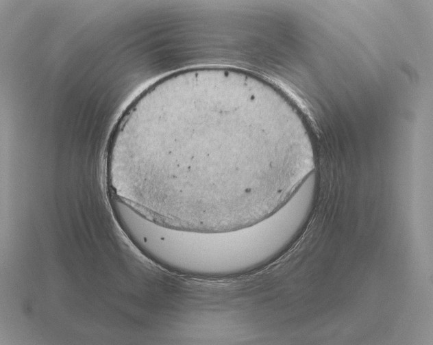 X0000115411468200912151531