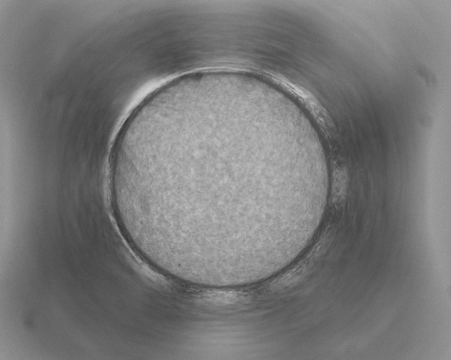 X0000115411470200912151531