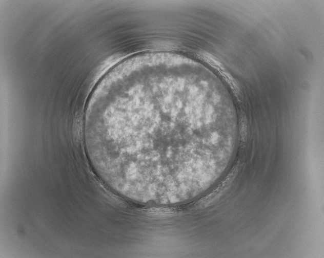 X0000115411473200912151531