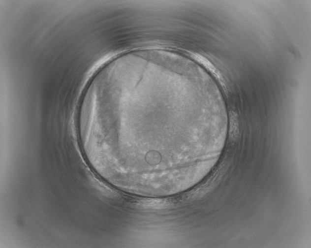 X0000115411474200912151531