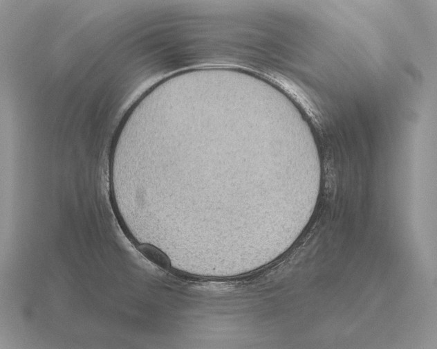 X0000115411476200912151531