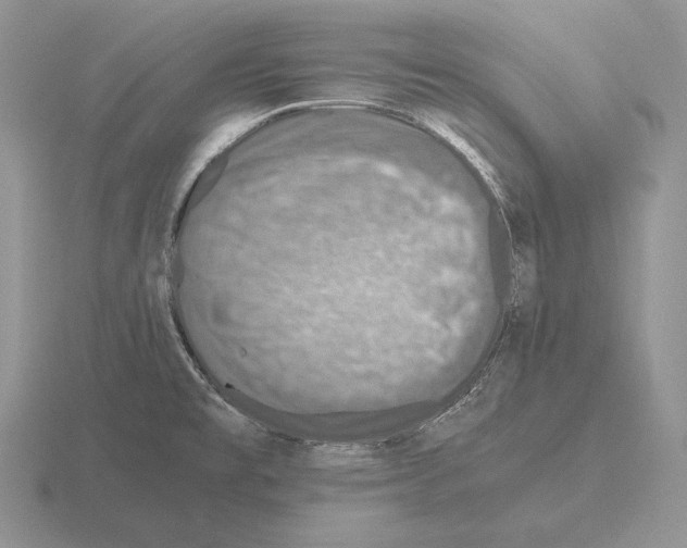 X0000115411477200912151531