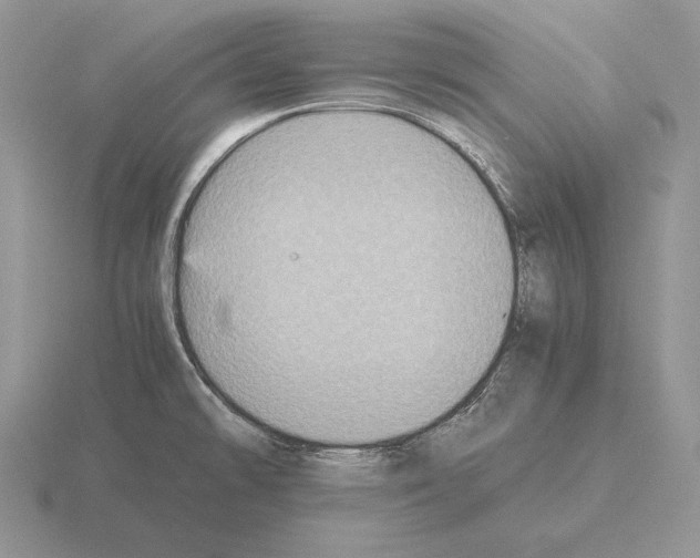 X0000115411478200912151531