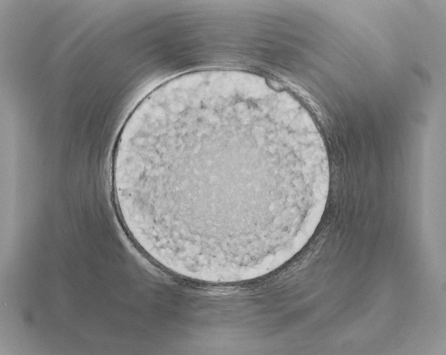 X0000115411479200912151531