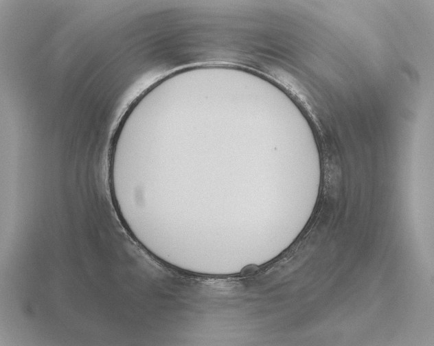 X0000115411480200912151531