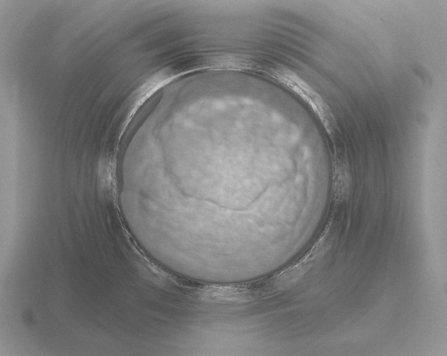 X0000115411481200912151531