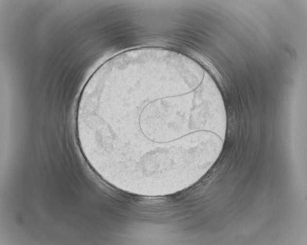 X0000115411483200912151531