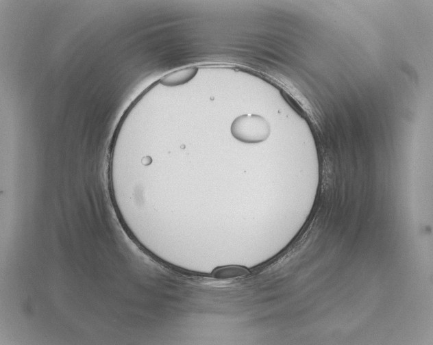 X0000115411484200912151530