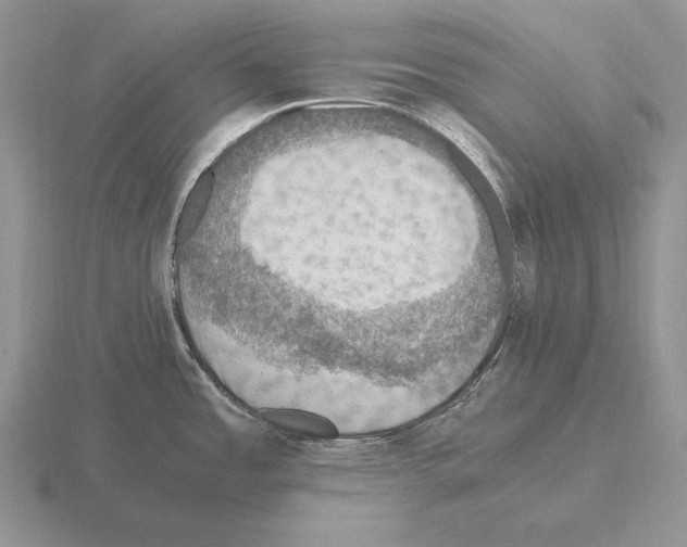 X0000115411485200912151530