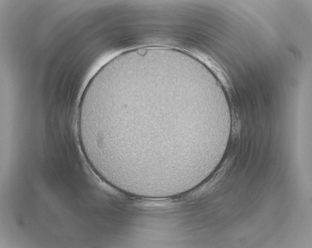 X0000115411486200912151530