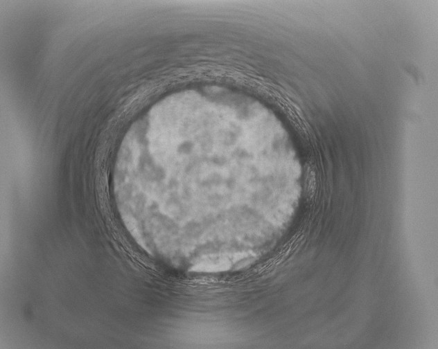 X0000115411489200912151530