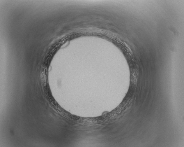 X0000115411493200912151530