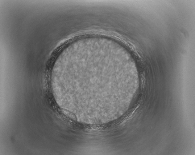 X0000115411494200912151530