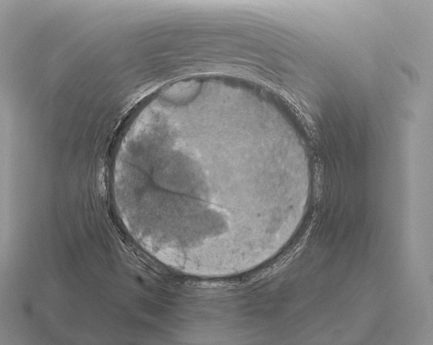 X0000115411497200912151530