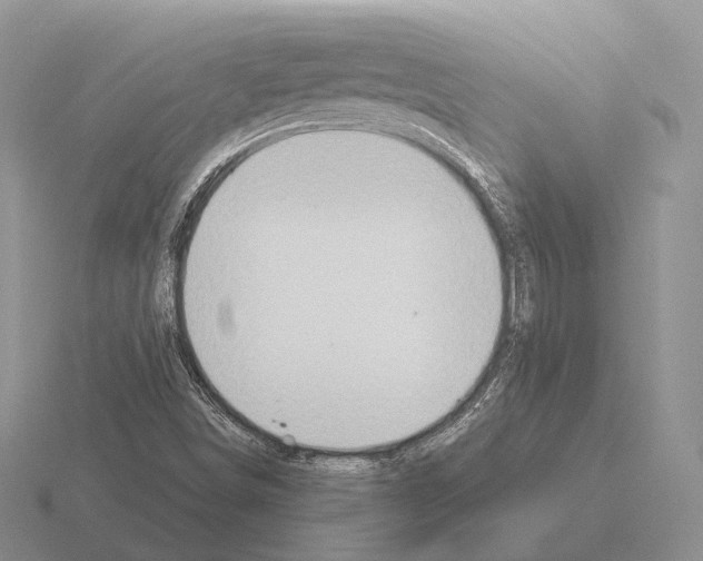 X0000115411498200912151530