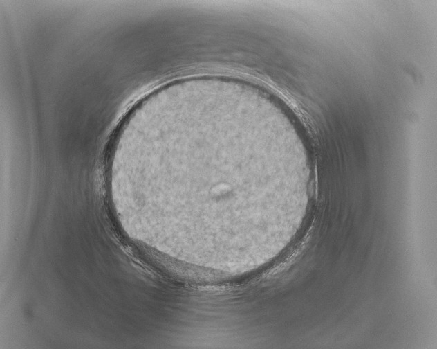 X0000115411501200912151530