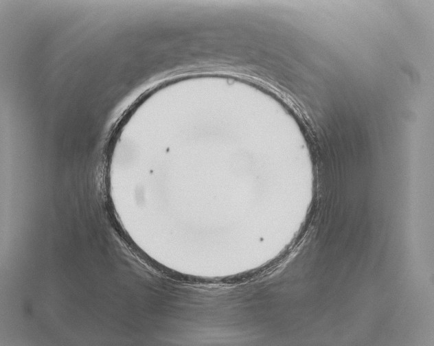 X0000115411502200912151530