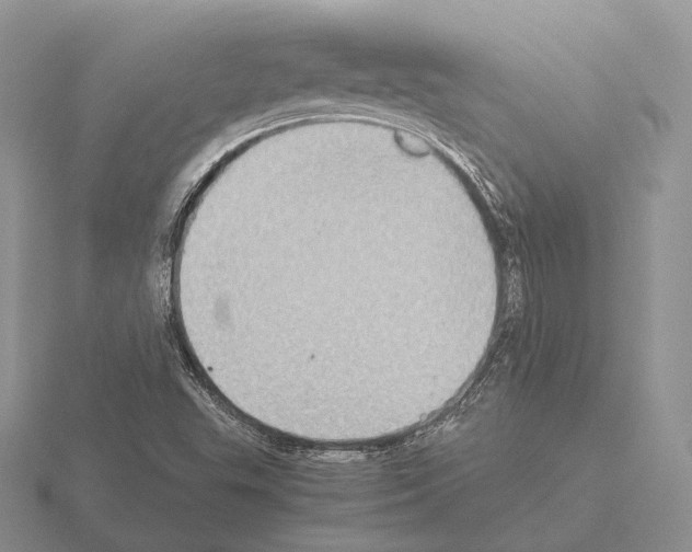 X0000115411503200912151530