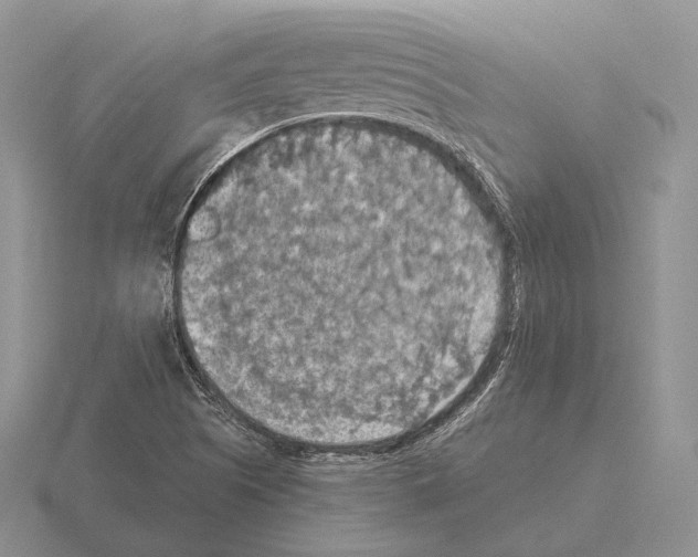 X0000115411505200912151530