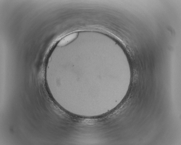 X0000115411506200912151530