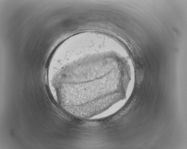 X0000115411509200912151530