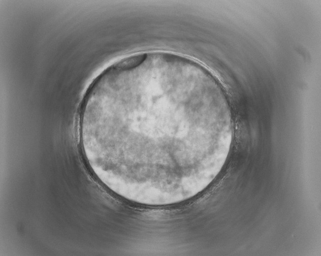 X0000115411510200912151530