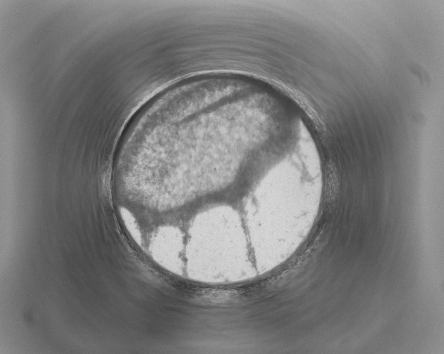 X0000115411513200912151530