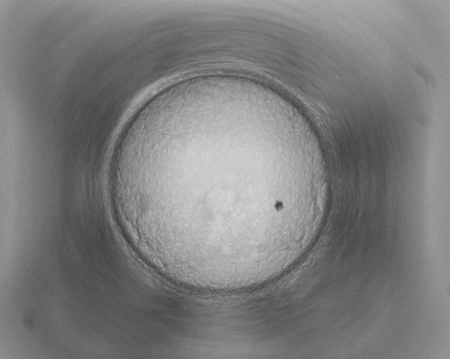 X0000115411514200912151530