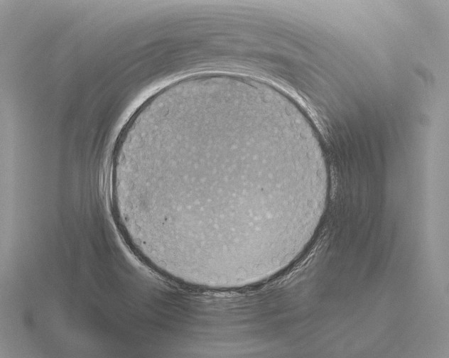 X0000115411515200912151530