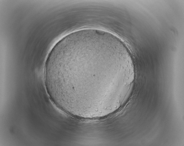 X0000115411519200912151530