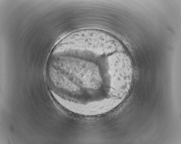 X0000115411521200912151530