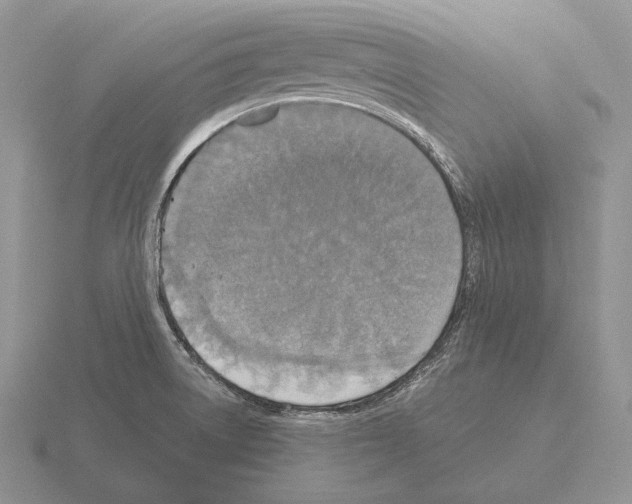 X0000115411522200912151530