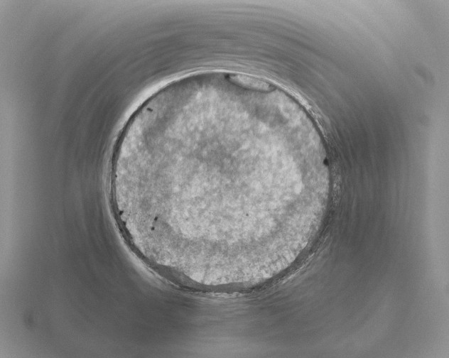 X0000115411523200912151530