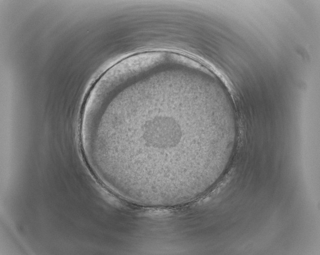 X0000115411525200912151530