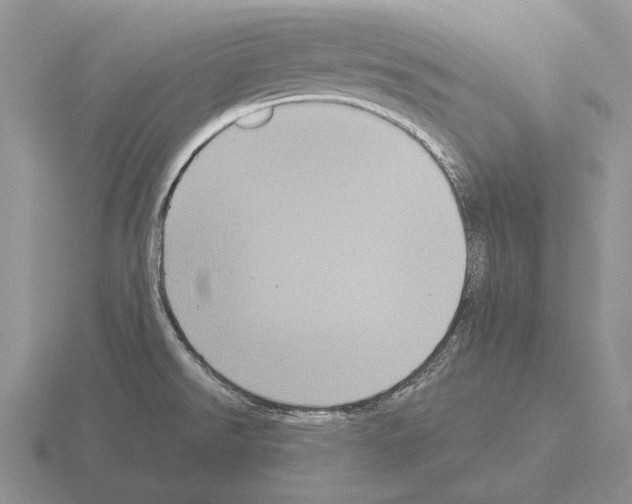 X0000115411526200912151530