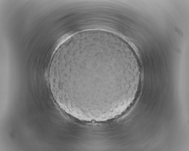 X0000115411529200912151530