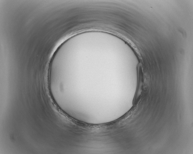 X0000115411530200912151530