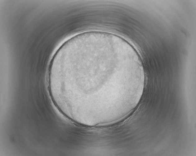 X0000115411531200912151530